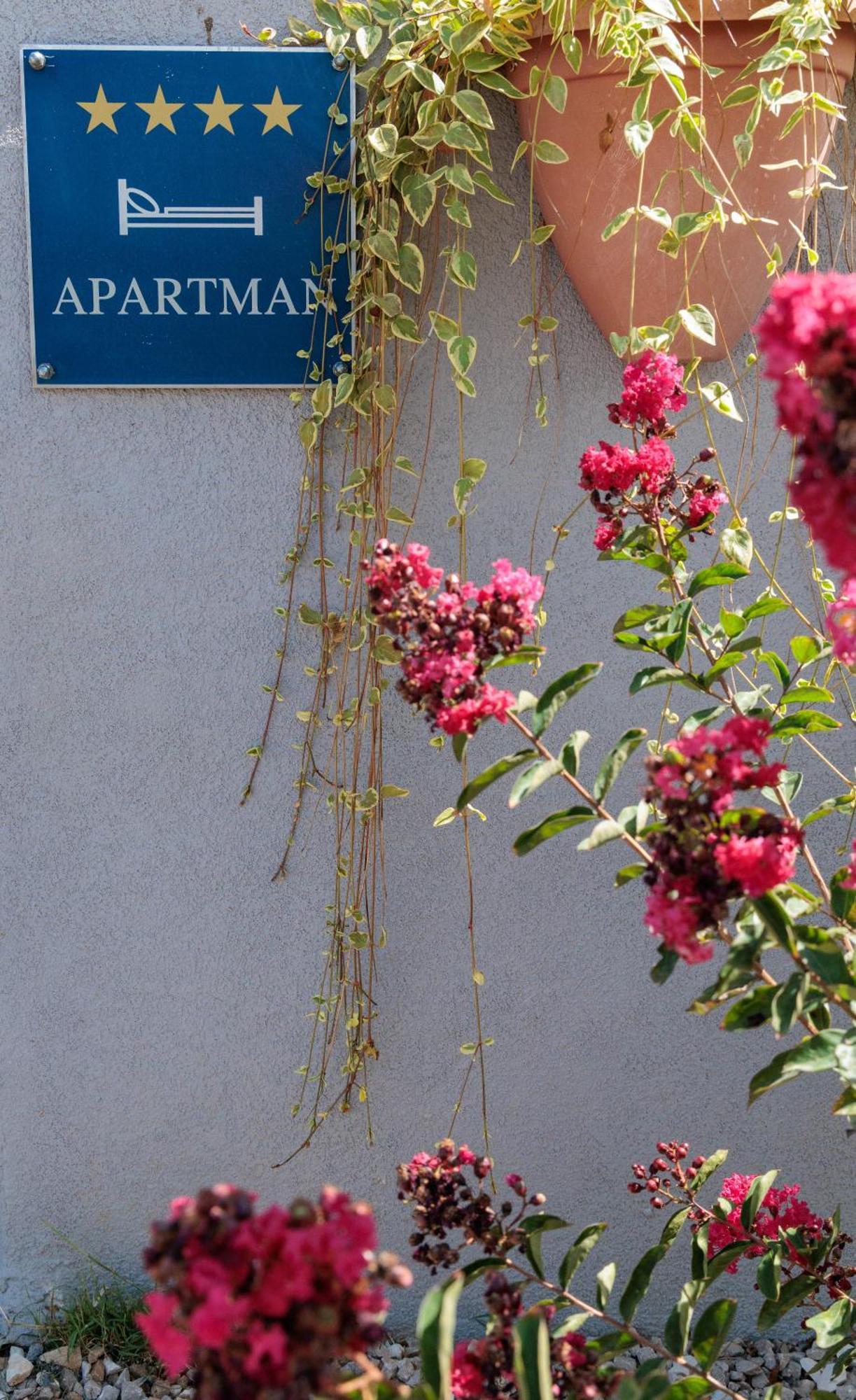 Luxury Apartment Alba With Pool カンファナル エクステリア 写真
